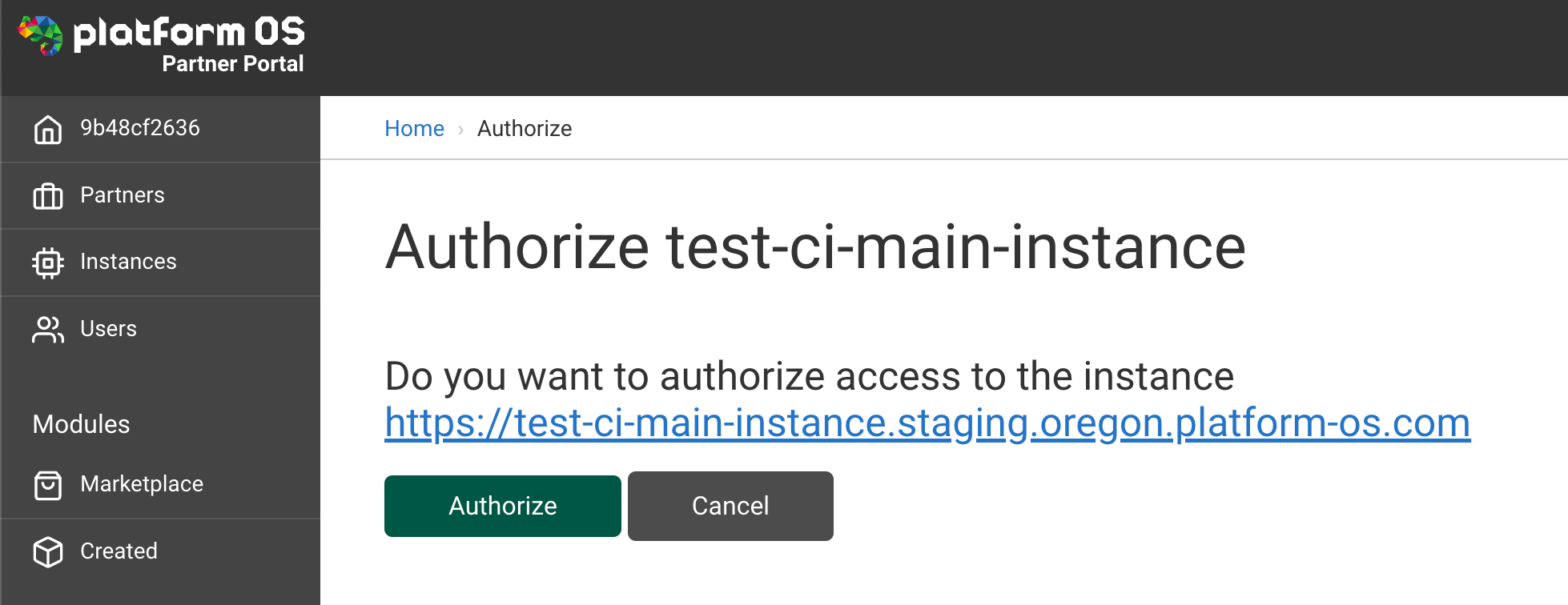 Screenshot Authorizing the instance in the browser