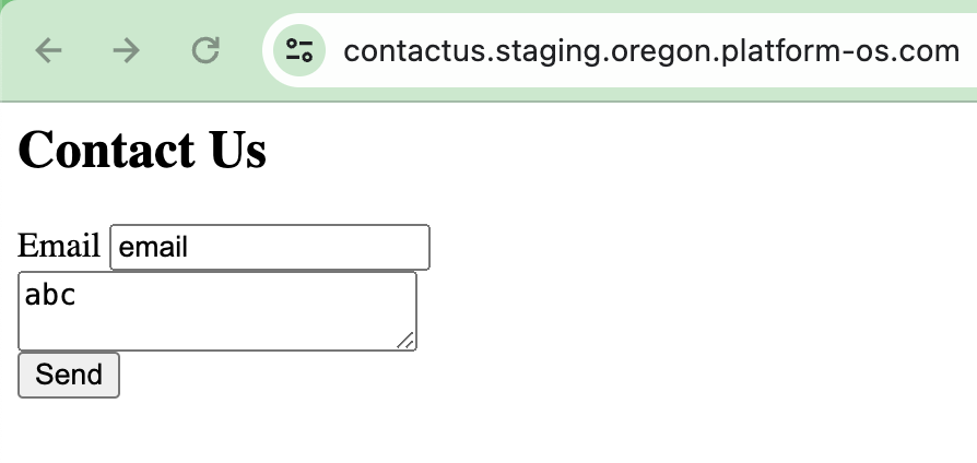 Screenshot showing the form filled with invalid data